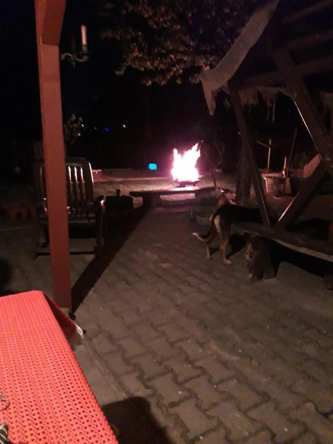 Ferienwohnung Erz-Hostel Thermalbad Wiesenbad Esterno foto